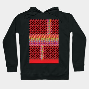 Rainbow Bleed Hoodie